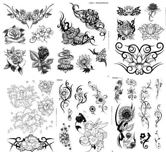 Book of Fiori Illustrations Softcover Book 3ntini Anal