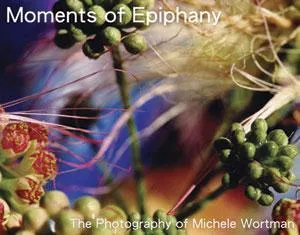 USA Anal Moments of Epiphany Book