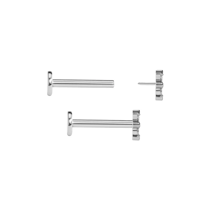 Vibrators Tilum Tilum 14g12g Threadless Amaryllis Titanium Top Price Per 1