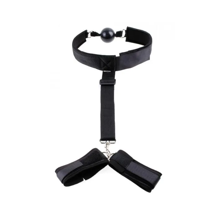 Fairvillacom Vibrators Ff Gag and Wrist Restraint