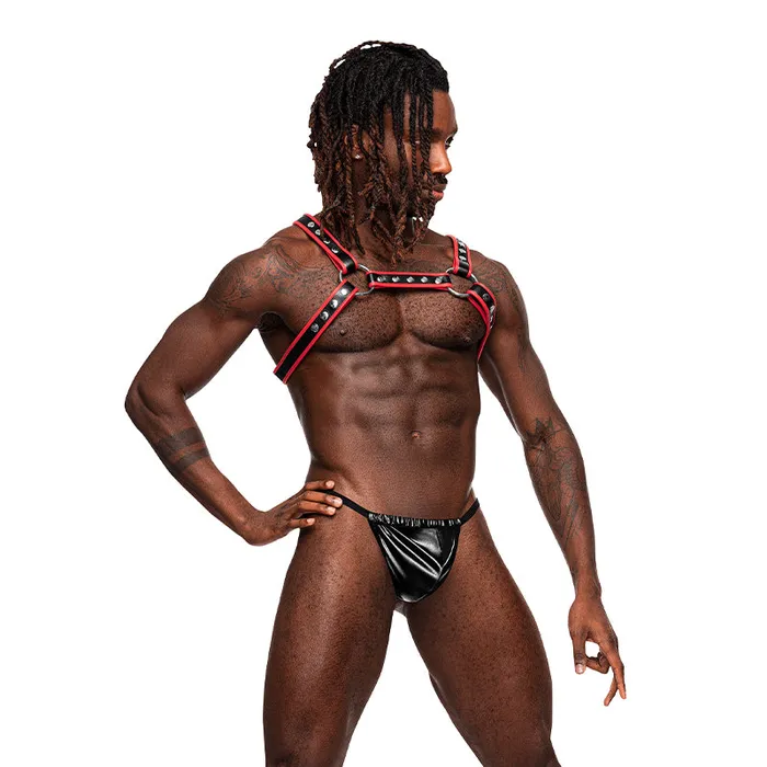 LEO LEATHER HARNESS BLACKRED OS Fairvillacom Restraints