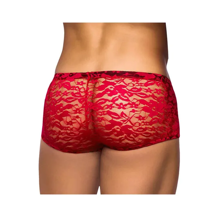 Male Sex Toys Male Power Stretch Lace Mini Short Red Large Fairvillacom
