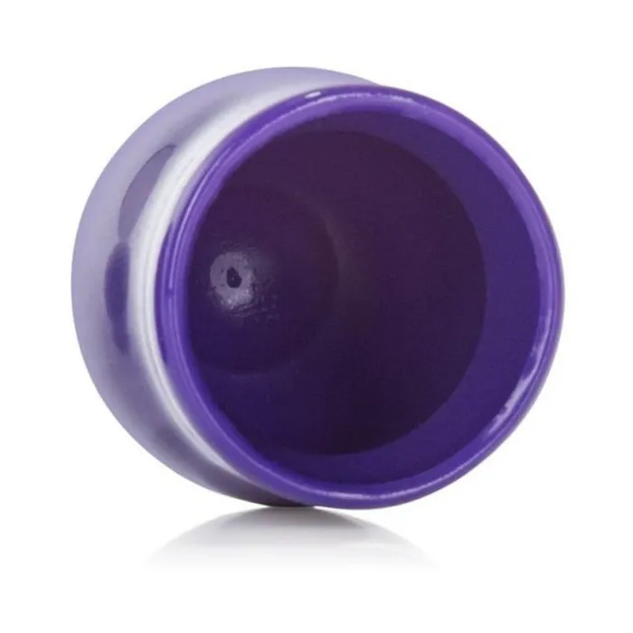 Mini Nipple Suckers Purple Fairvillacom Vibrators