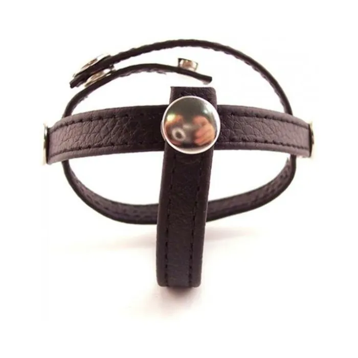 Rouge Three Piece Divider Black Fairvillacom Anal