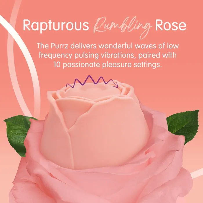 ShhhWndsr Vibrators Skins Rose Buddies PURRZ Clit Stim Rose Pink ShhhWndsr Vibrators Skins Rose Buddies PURRZ Clit Stim Rose Pink