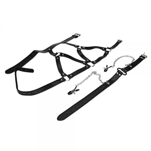 Couples Kinkstasy The Bad Sub Bondage Harness w O Ring Gag Nipple Clamps Slave Collar
