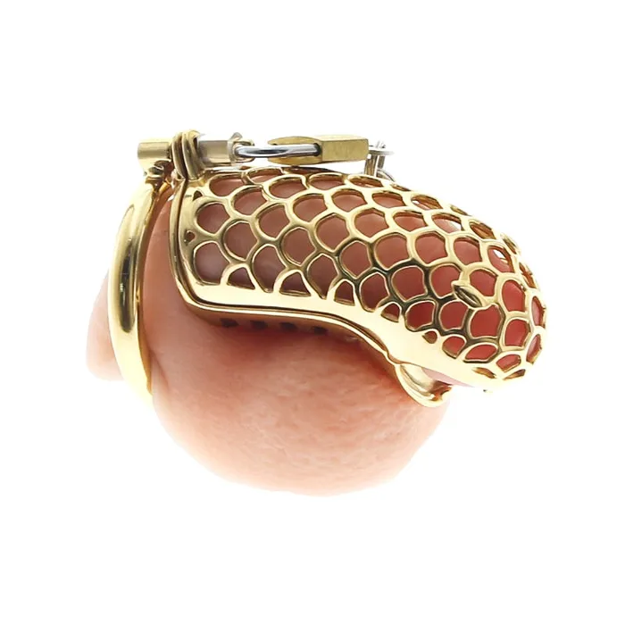 Golden Cobra Chastity Cock Cage Hand Polished Kinkstasy Male Sex Toys