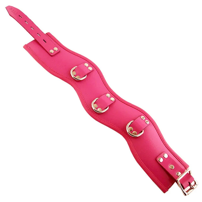 Vibrators Rouge Garments Rouge Garments Pink Padded Posture Collar